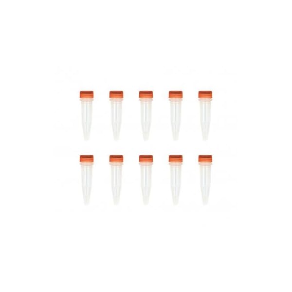 Mix & Go! Competent Cells-TG1, 10 x 100 µl